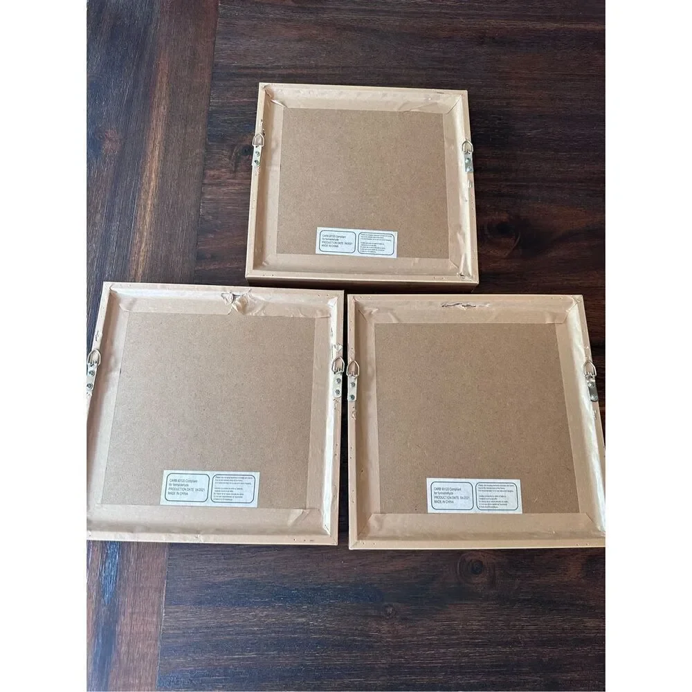 Set of 3 potted succulent prints